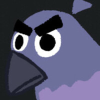 Bird in sky