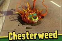 chester4weed