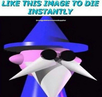 The Wizards