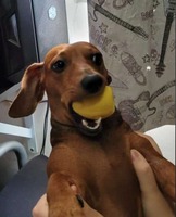 hugo1