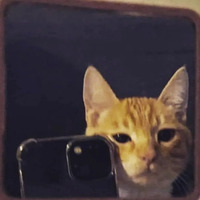 mac