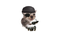 Potato