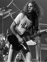 Allen collins fan