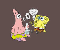Swizzle Shweed