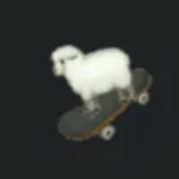 Skater Sheep