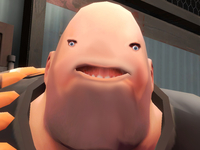whale heavy