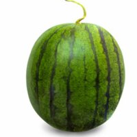blecha